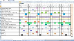 modeles-tracker-mensuel